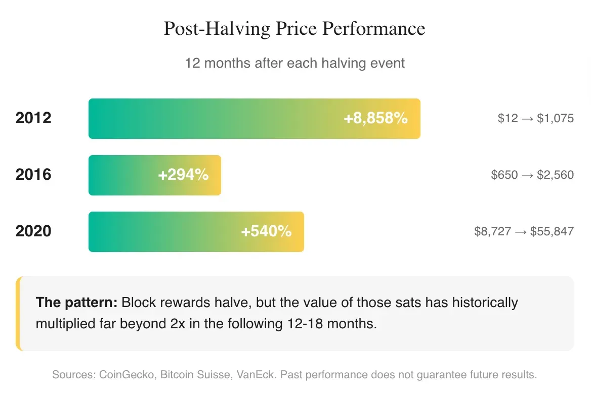 Bitcoin price gains following each previous halving